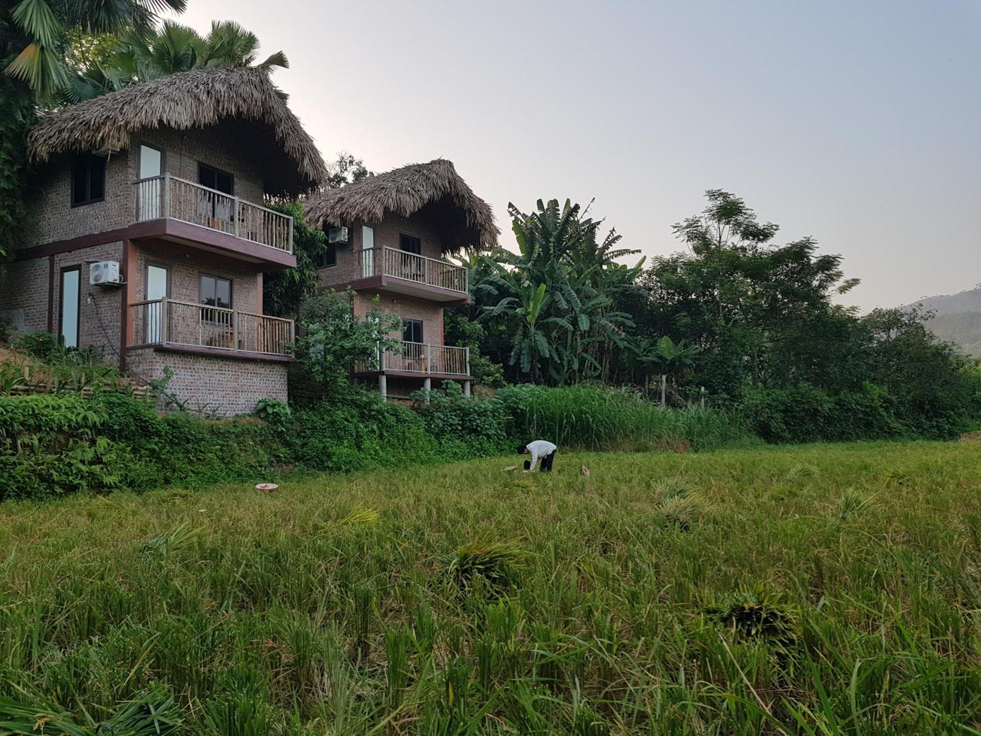 Vu Linh Palm House Homestay - Bungalow Yen Bai 外观 照片